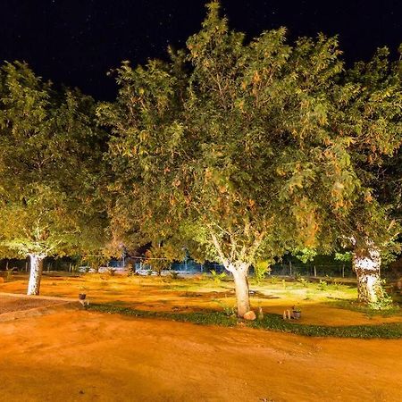 Forestville ยาลา ภายนอก รูปภาพ