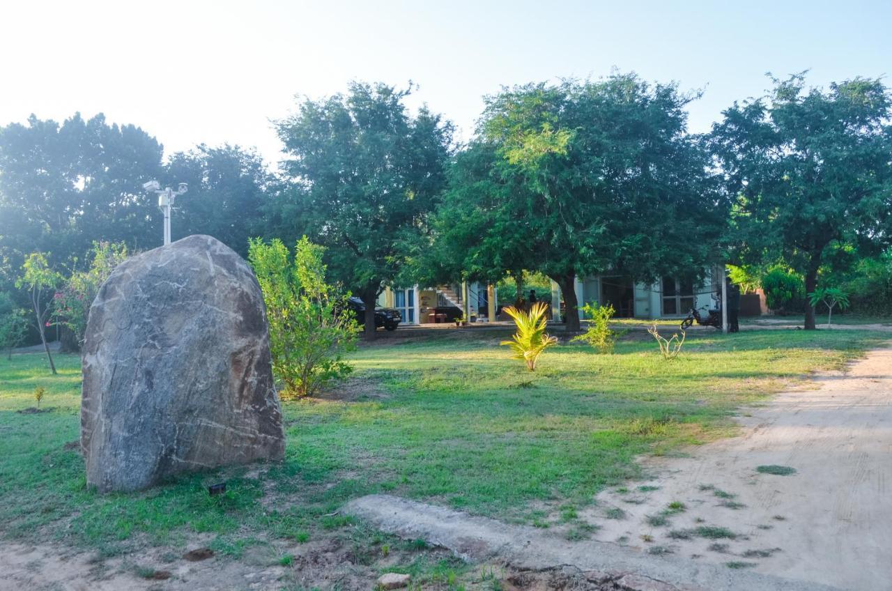 Forestville ยาลา ภายนอก รูปภาพ