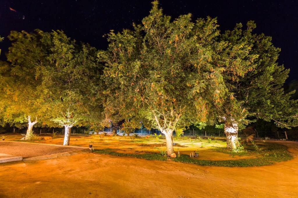 Forestville ยาลา ภายนอก รูปภาพ