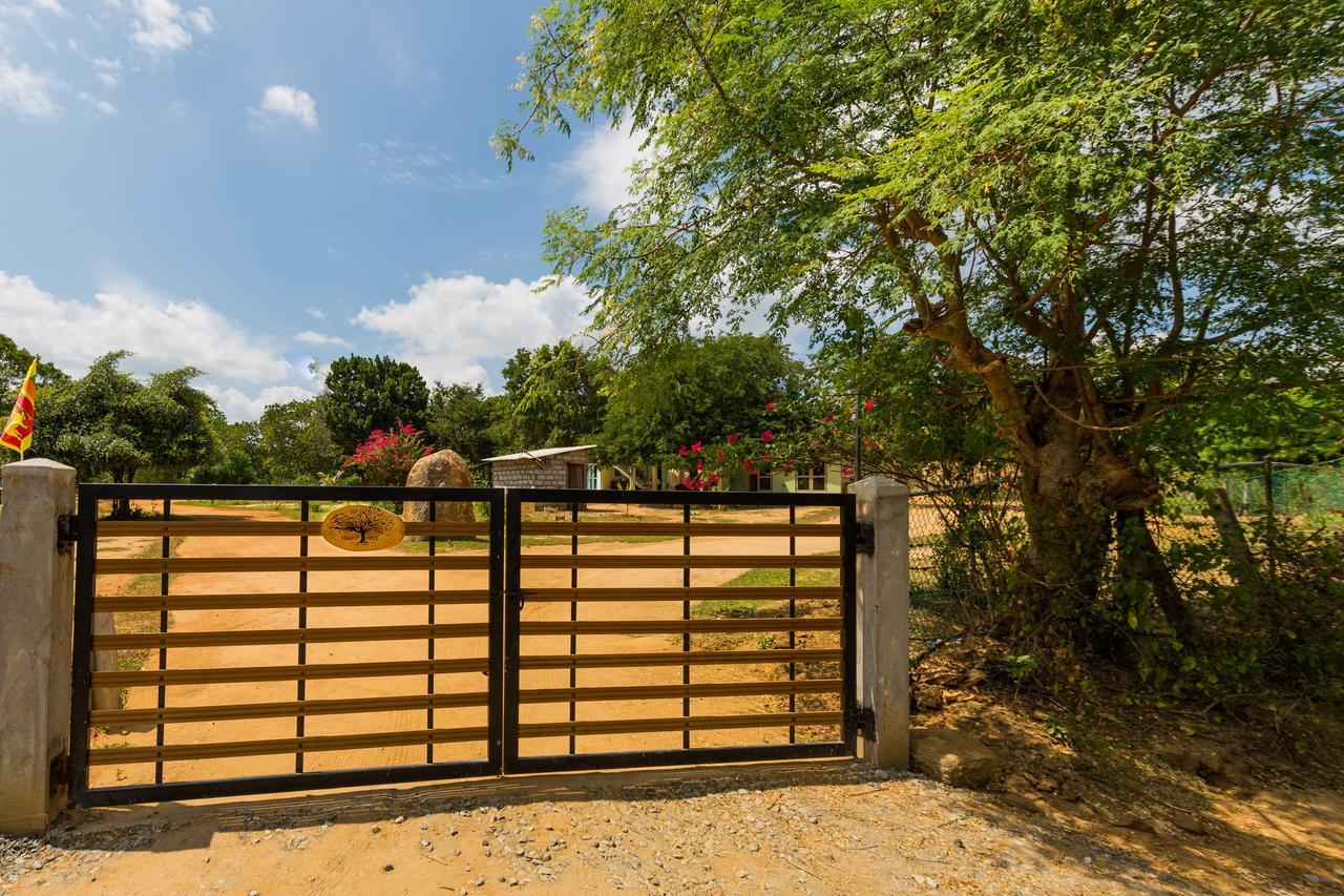 Forestville ยาลา ภายนอก รูปภาพ